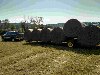 RAM and bales low res.jpg