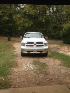 new grill and insert.JPG