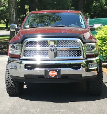 18 Ram D.jpg 18 Ram D.jpg