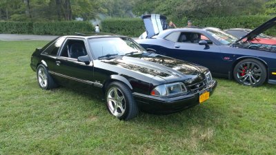 Foxbody Bear mt.jpg Foxbody Bear mt.jpg
