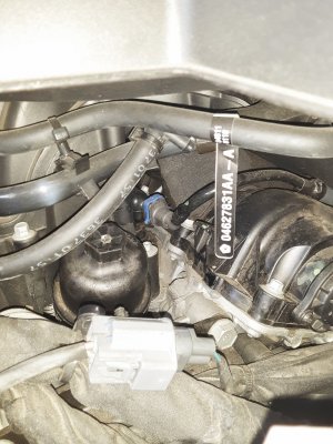 Ram Nest Clean.jpg