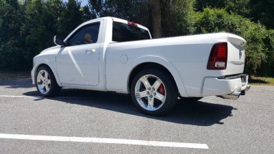 Bushwacker rear.jpg
