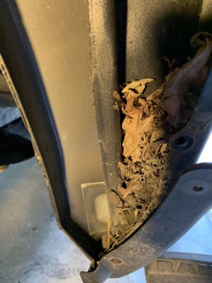 compost-pile.jpg compost-pile.jpg
