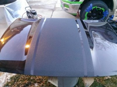 Hood Complete.jpg