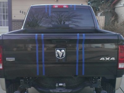 New Stripes Rear.jpg