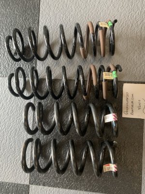 Springs1.jpg