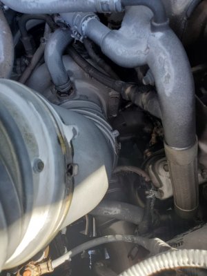 20190920_113737.jpg