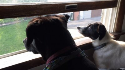 IMG_3002.JPG