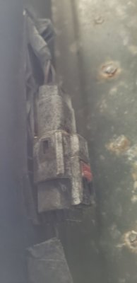 20191120_093313.jpg 20191120_093313.jpg