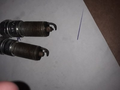 20191212_065058[1].jpg
