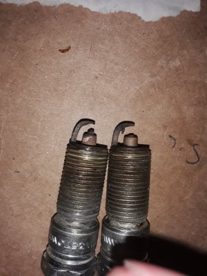 20191212_065046[1].jpg