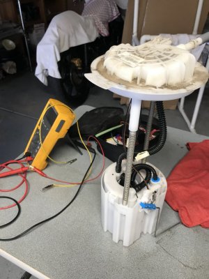 AD9D0085-AE0D-46EB-8665-C4DBDD23E0B0.jpeg