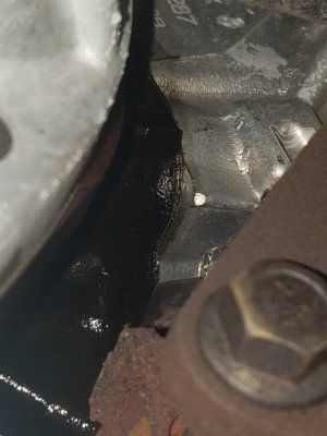 20190924_160417.jpg