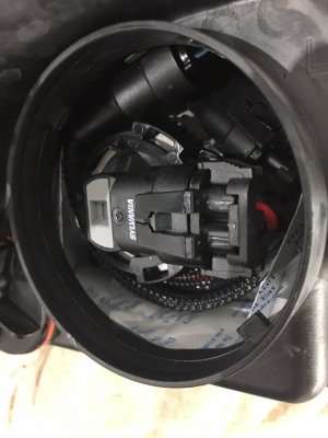 IMG_4354.JPG IMG_4354.JPG