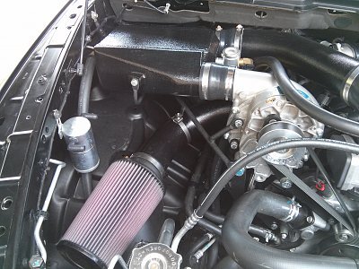IMG_20130816_133727.jpg