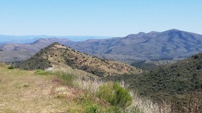 041020 02.jpg 041020 02.jpg