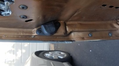 Door Bumper.jpg