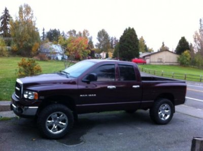 Ram1.jpg