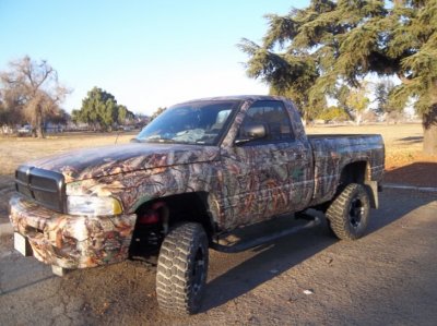 camo ram 004.jpg