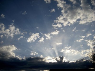 IMG_0001.jpg