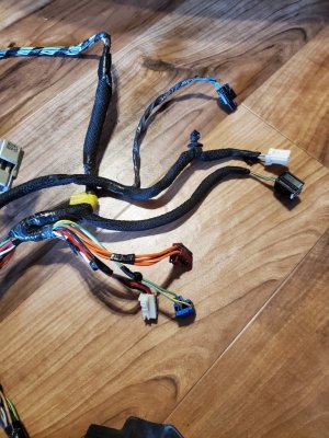 DD Harness.jpg DD Harness.jpg