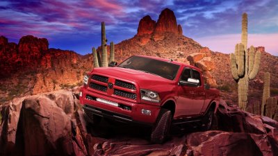 Desert Ram.jpg Desert Ram.jpg