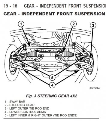 steer .jpg