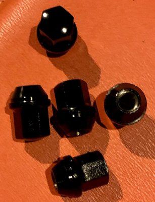 Lugs.jpg