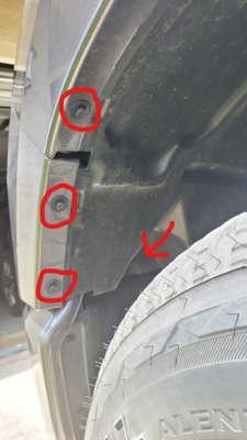 fender bolts.jpg