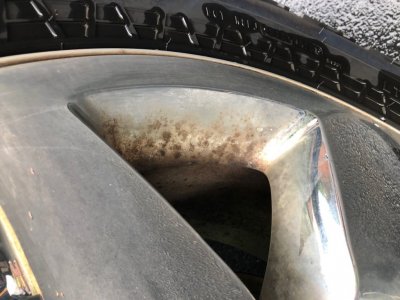 rim2.jpg