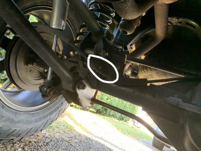InkedQuick_Shifter Photo_LI.jpg