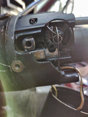 IMG_20201124_081848.jpg
