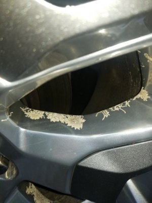 20201220_144850.jpg 20201220_144850.jpg