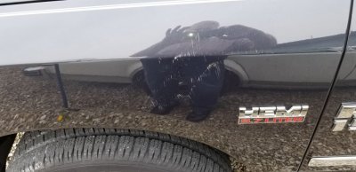 20190501_104328.jpg