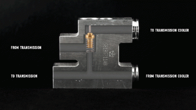 MG_1929.gif