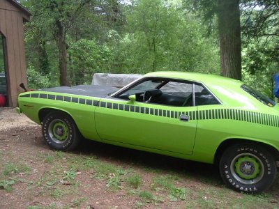 Cuda side.jpg Cuda side.jpg