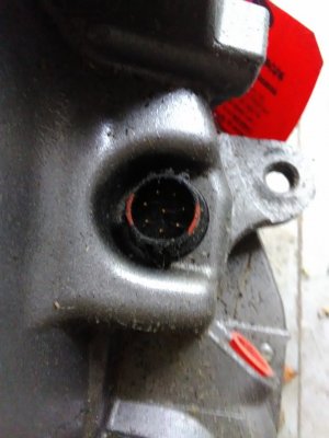 123137757_121850296364808_8111850986511091102_o.jpg