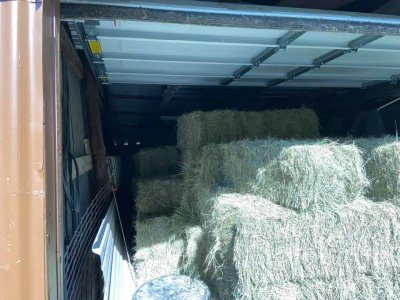 hay1.jpg hay1.jpg