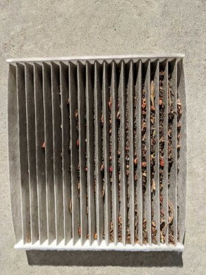 Cabin-Air-Filter-051221.jpg