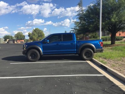 Raptor.jpg Raptor.jpg