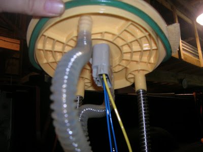 DSCN4091.jpg