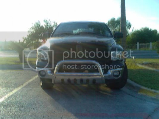 img1288763749769.jpg