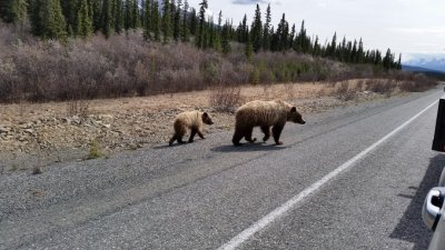20140508_125639.jpg