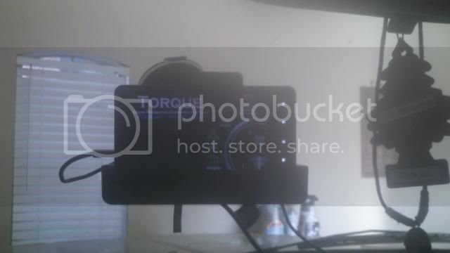 2011-06-089518-42-1295349.jpg