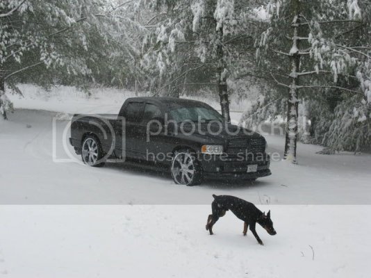 IMG_7848.jpg