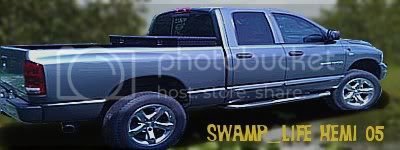 swamp_lifehemi05.jpg