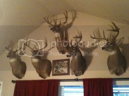 2011buck.jpg 2011buck.jpg