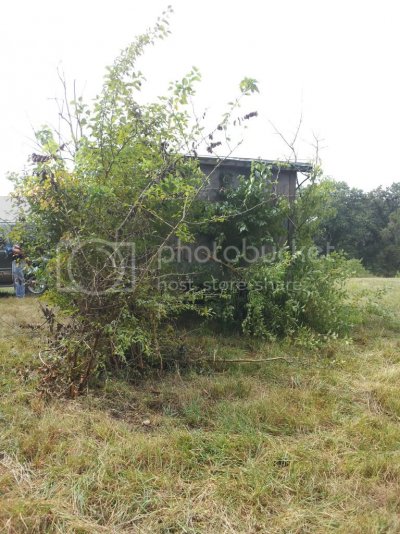 2011-09-10112839.jpg