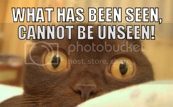 WhatHasBeenSeenCannotBeUnseen.png