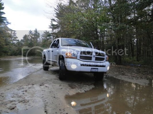 trailing7.jpg